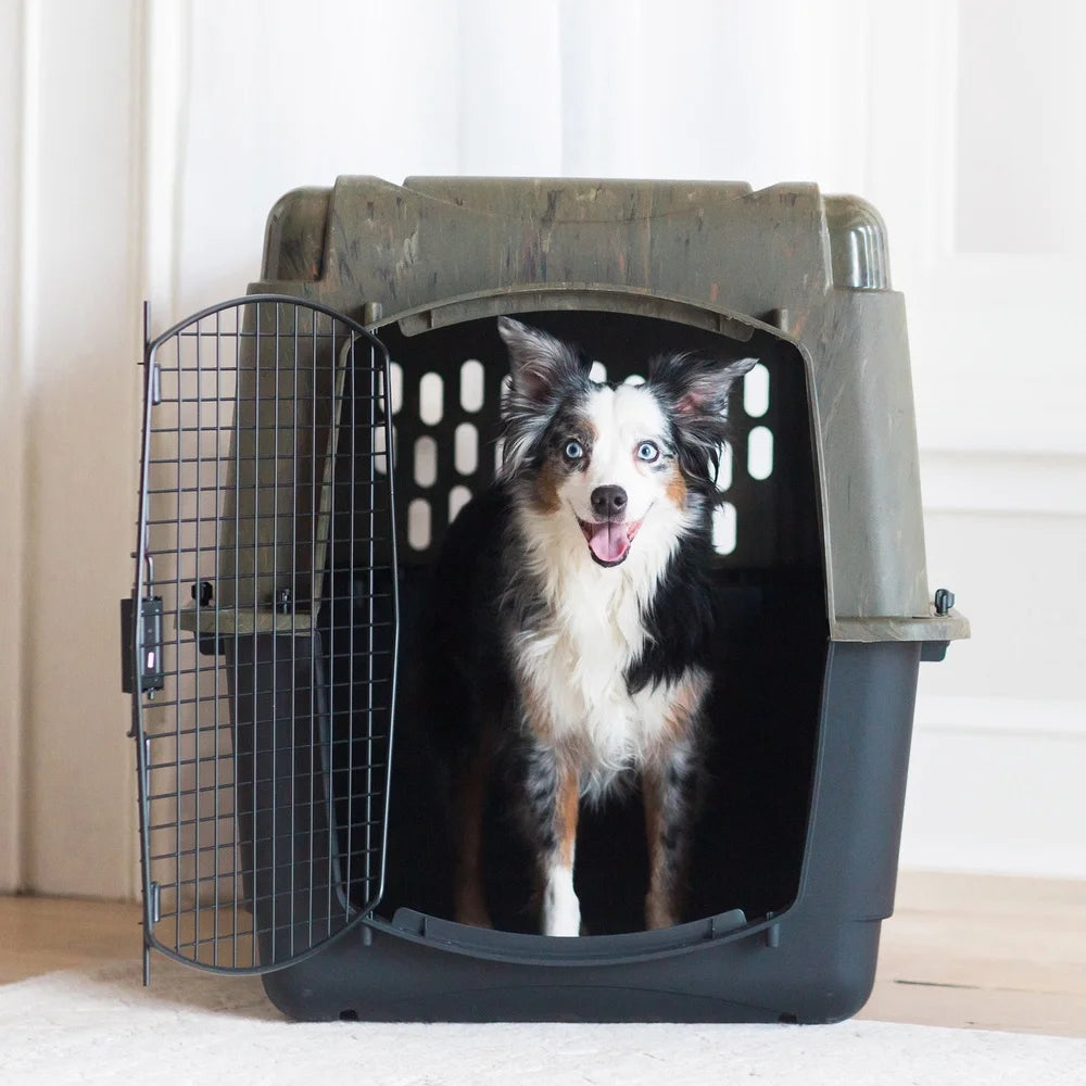Large Plastic Dog Kennel Outdoor Indoor Pet Carrier Crate 360 Degree Ventilation Dogs 70-90 lbs Portable Travel Dog House