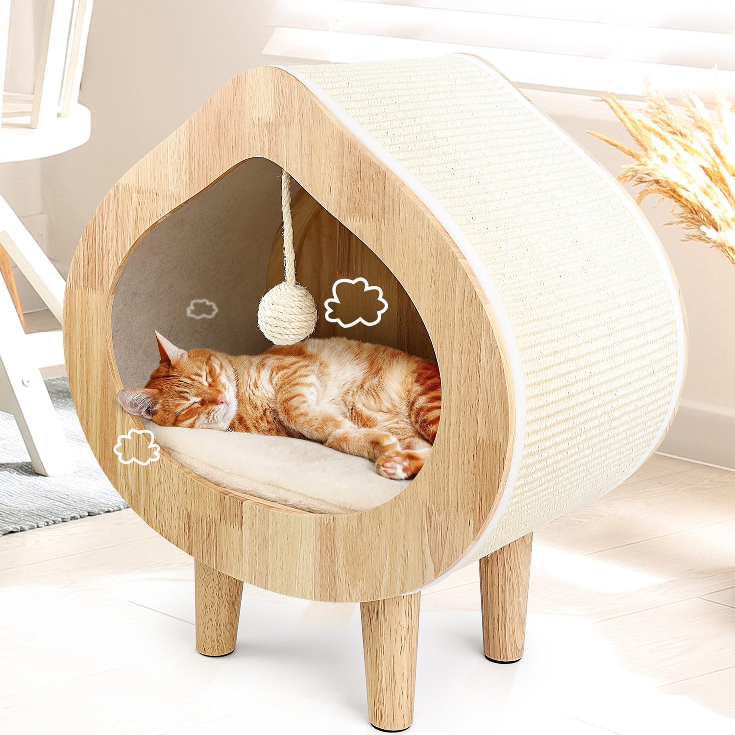 Cat Inside Homes
