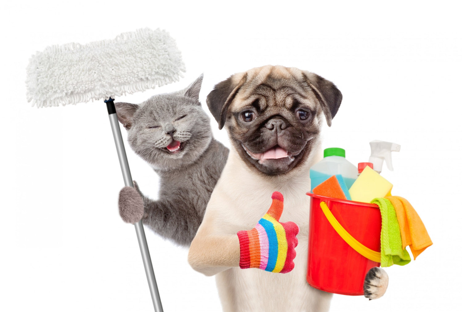 Cleaning Supplies