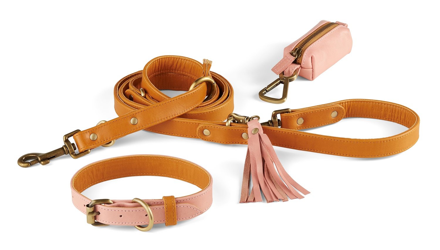 Collars & Leashes