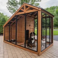 Dog Outside Houses