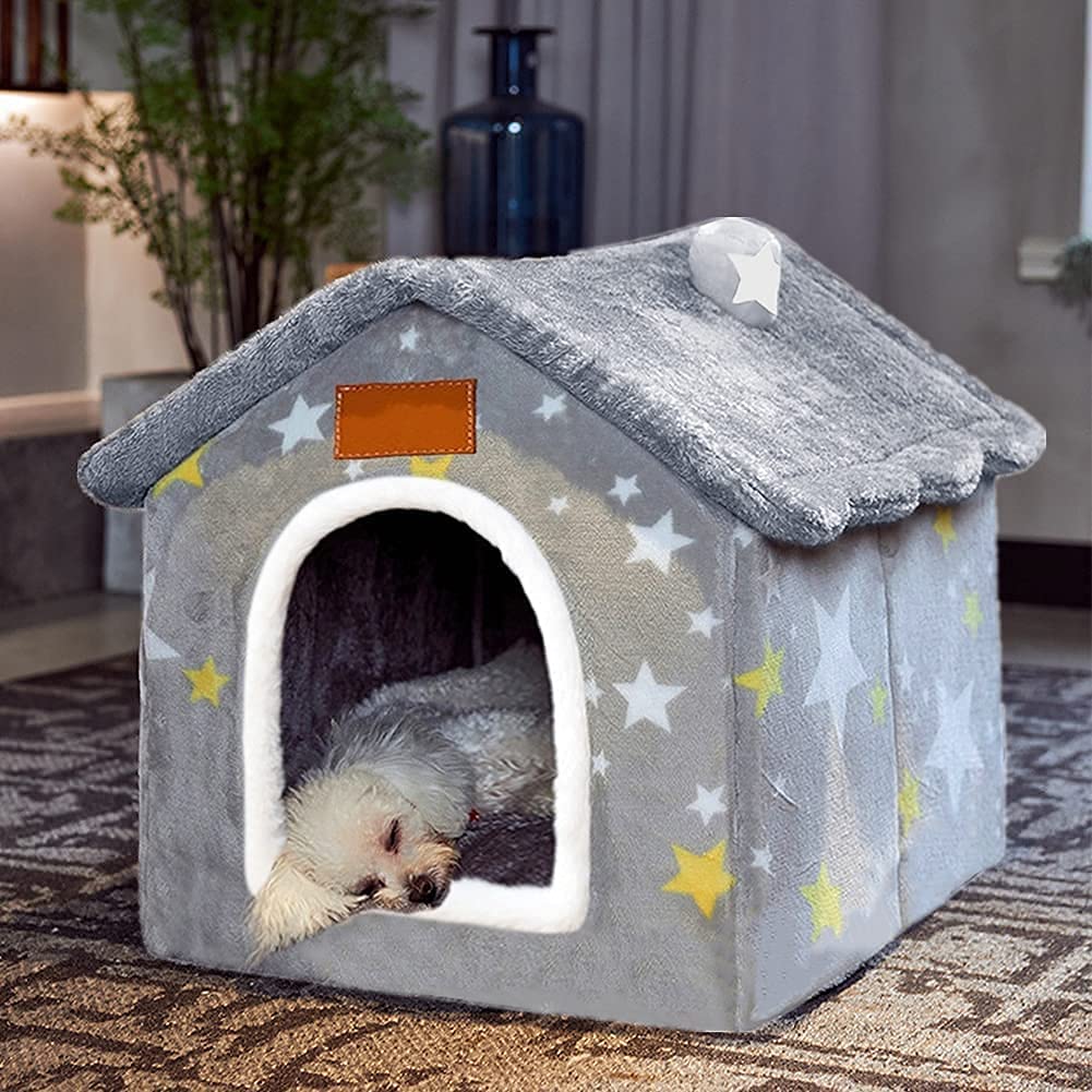Dog Home