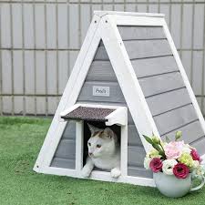 Cat Outside Homes
