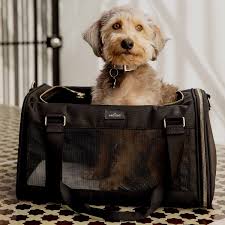 Pet Transport