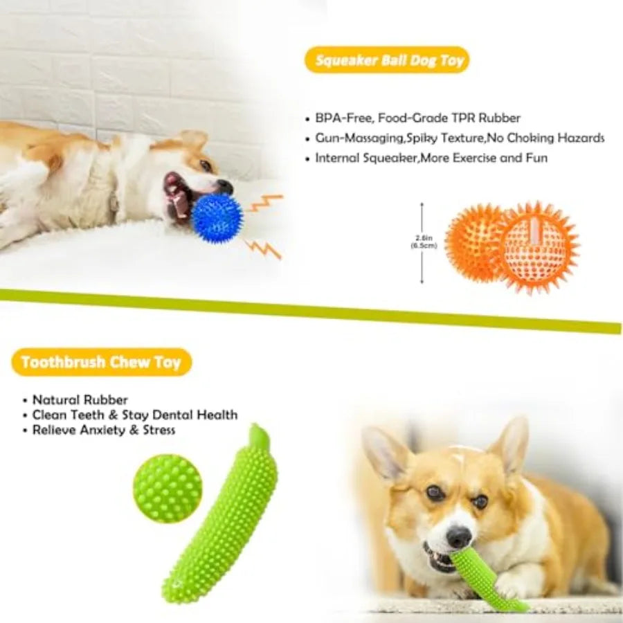 Dog Toys 25 Pack for Fun and Teeth Cleaning Puppy Chew Toys Pack with Squeak Plush Toy Squeaky Toy Balls Tug of War and Rope To