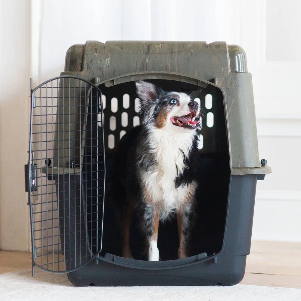Large Plastic Dog Kennel Outdoor Indoor Pet Carrier Crate 360 Degree Ventilation Dogs 70-90 lbs Portable Travel Dog House