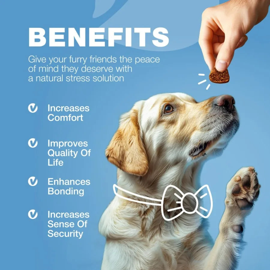 Hemp Calming Chews for Dogs Anxiety Dog Calming Treats with Melatonin Valerian Root Chamomile Extract Vitamin B Complex Canine