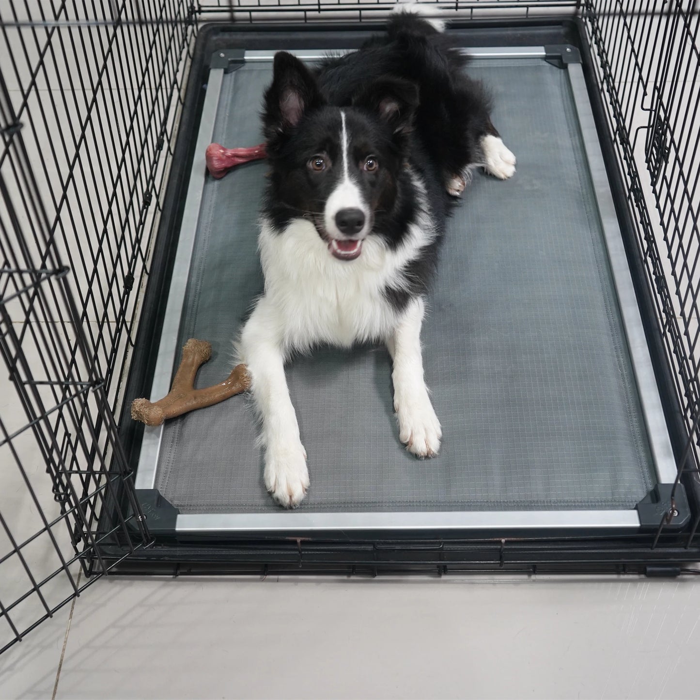 FXW Titanest Padded Dog Bed for Crate, Chew-Proof Elevated Cot for Indoor/Outdoor/Camping Use, Durable & Washable Pet Bed