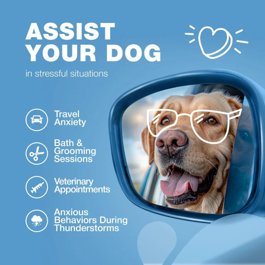 Hemp Calming Chews for Dogs Anxiety Dog Calming Treats with Melatonin Valerian Root Chamomile Extract Vitamin B Complex Canine