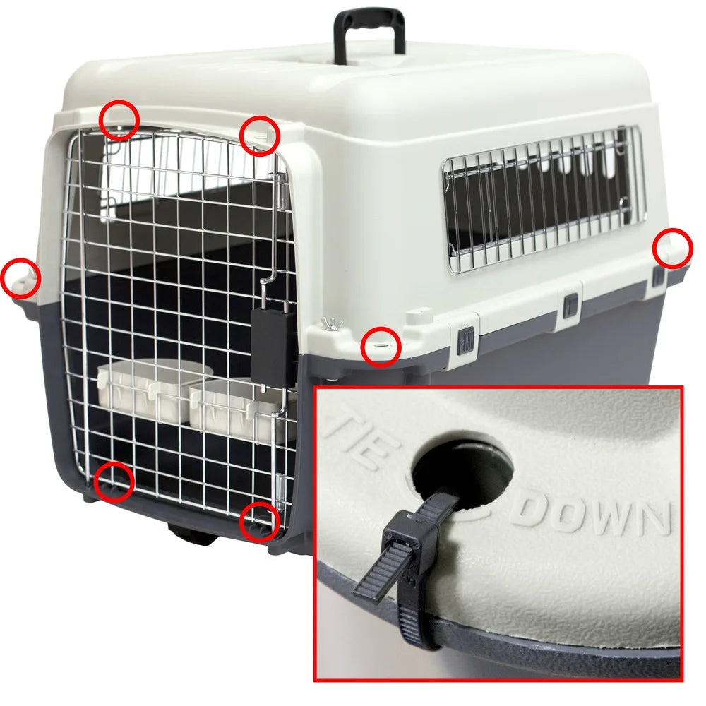 IATA Approved Plastic Dog Kennel Travel Crate Durable Easy Assemble Medium Size Pet Carrier with Metal Hardware and Wheels