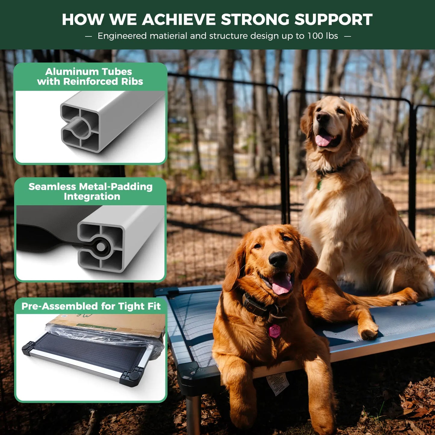 FXW Titanest Padded Dog Bed for Crate, Chew-Proof Elevated Cot for Indoor/Outdoor/Camping Use, Durable & Washable Pet Bed