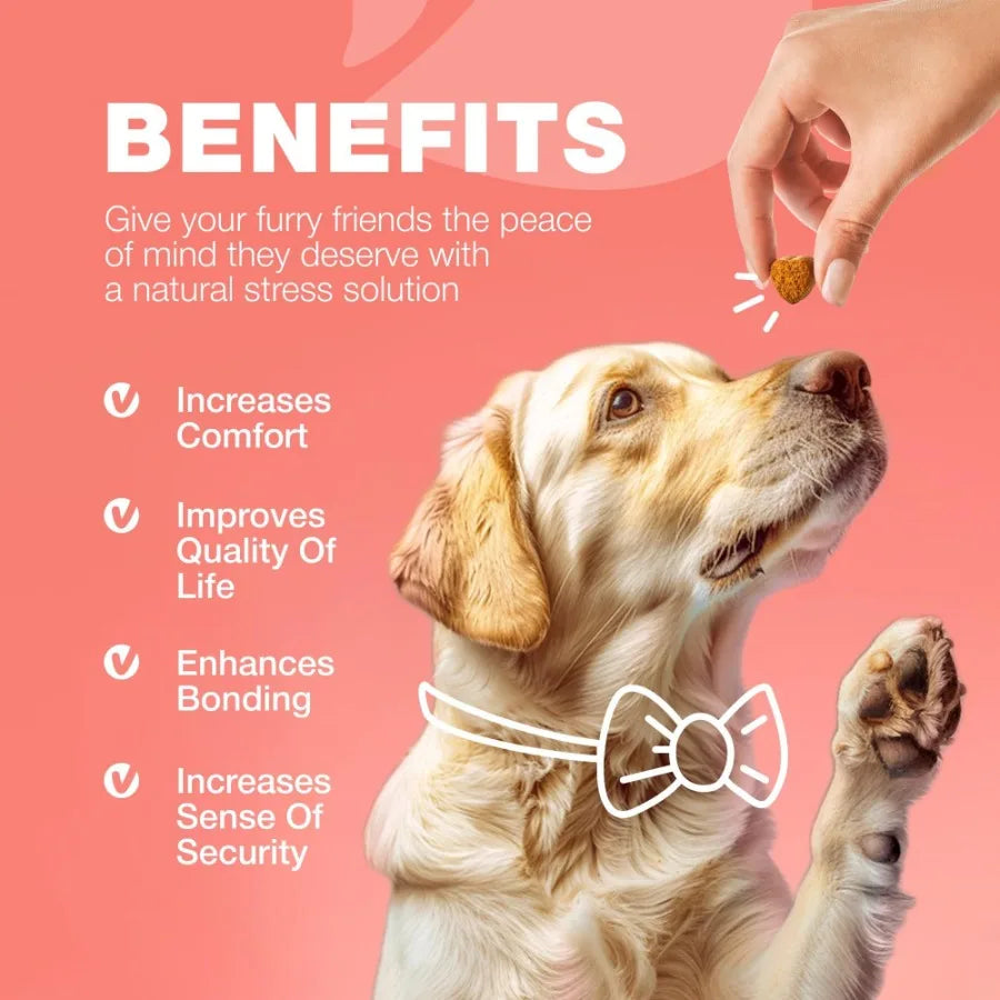 Dog Flea and Tick Treatment Chews FleaTick Prevention for Dogs Chewables Natural Dog Flea Tick Control Soft Treats Immune Suppo