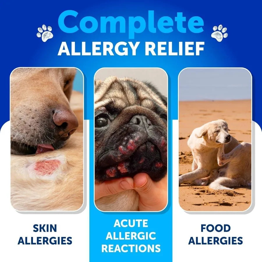 Dog Allergy Relief Chews Itching Skin Relief for Dogs Fish Oil Omega 3 Seasonal Allergies Pills Skin Coat Anti ItchHot Spots Tr