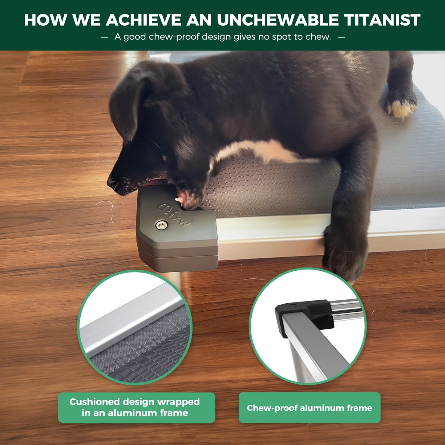 FXW Titanest Padded Dog Bed for Crate, Chew-Proof Elevated Cot for Indoor/Outdoor/Camping Use, Durable & Washable Pet Bed