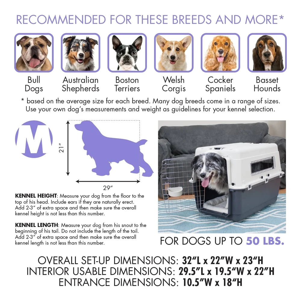 IATA Approved Plastic Dog Kennel Travel Crate Durable Easy Assemble Medium Size Pet Carrier with Metal Hardware and Wheels